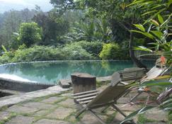 Annapara Home Stay - Vythiri - حوض السباحة