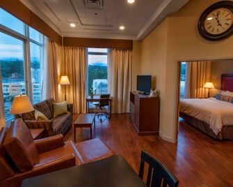 Hotel Ithaca - Ithaca - Sala de estar