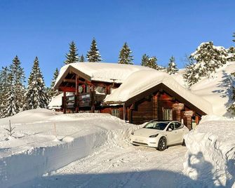 4 bedroom stunning home in Nissedal - Treungen - Building