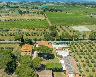 Il Pino - appartamento Tiglio - Cecina - Vista esterna