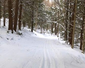 The Dewey by The Lenox Collection - Lenox - Bedroom