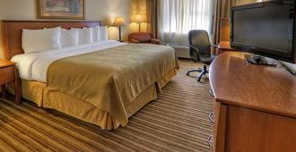Quality Inn & Suites - Twin Falls - Slaapkamer