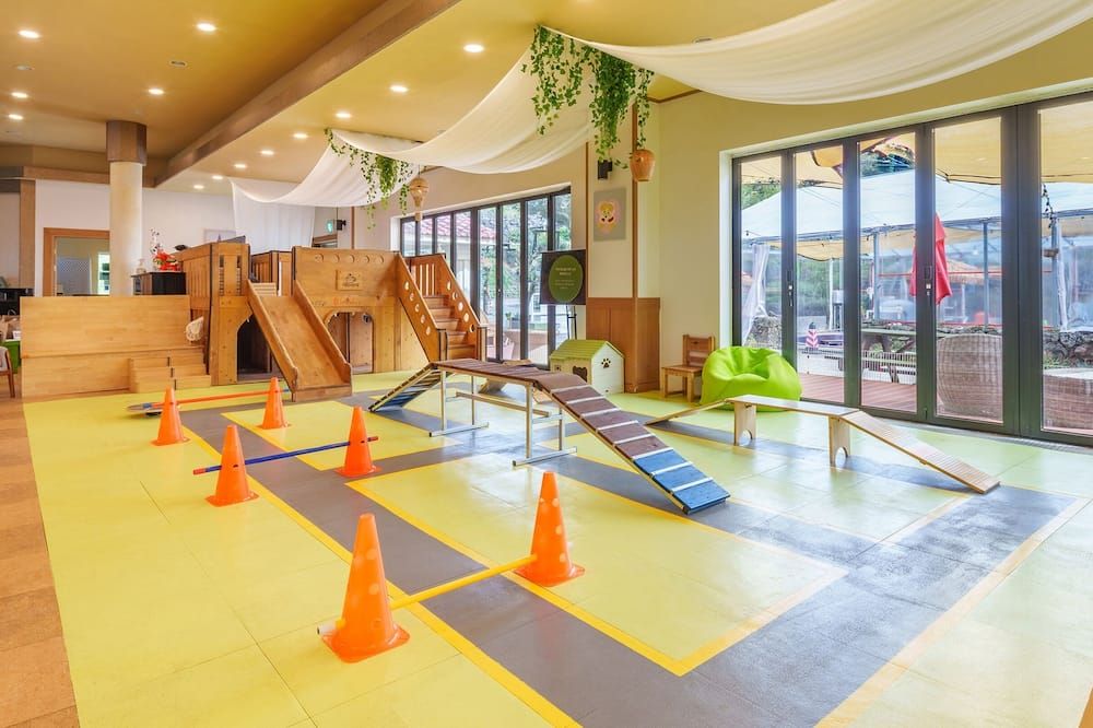 جيجو دانغدانجي دوج بينشن بلاك