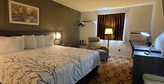 Cottonwood Inn and Conference Center - South Sioux City - Camera da letto