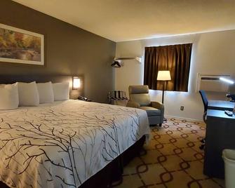 Cottonwood Inn and Conference Center - South Sioux City - Bedroom