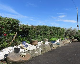 The Coach House Self Catering Apartments - Ballymena - Outdoor view