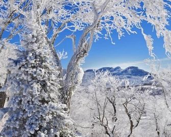 Handsome 2br Condo W/ Gorgeous Views In Sugar Mountain! 2 Bedroom Condo by RedAwning - Sugar Mountain - Servicio de la propiedad