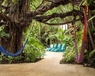 Eco-Hotel El Rey Del Caribe - Cancún