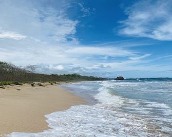 Hotel Mar Rey - Tamarindo - Playa