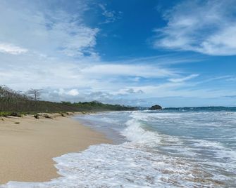 Hotel Mar Rey - Tamarindo - Strand