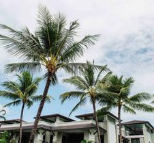 Pullman Port Douglas Sea Temple Resort And Spa
