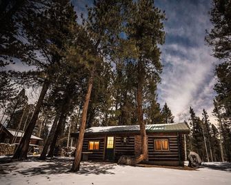1950's Retro Cabin on 40 Wooded Acres - Divide - Edificio