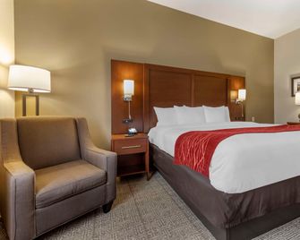 Comfort Inn and Suites Streetsboro - Kent - Streetsboro - Camera da letto