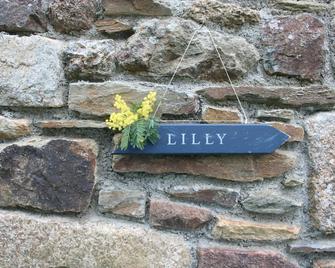 Lilly, adorable little stone house for 3 people. - Callac - Vista del exterior