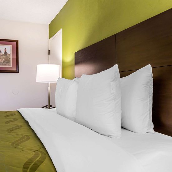 Bedroom view of Quality Inn
