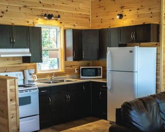 Bass Bay Cabin - Lakewood Park Cabins - Kenora - Kitchen