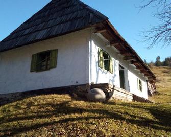 Transylvanian Mountain Paradise 2--experience and live the ancient atmosphere - Ghimeş-Făget - 건물