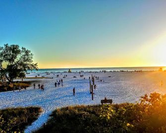 Near Siesta Key. Lg Patio. 2 King beds, Wi-Fi, Updated Sarasota Condo. 1st floor - Sarasota - Beach