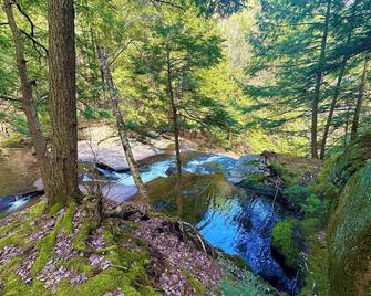 Little Black Aframe by the Brook- 5m to Waterfall - Warrensburg