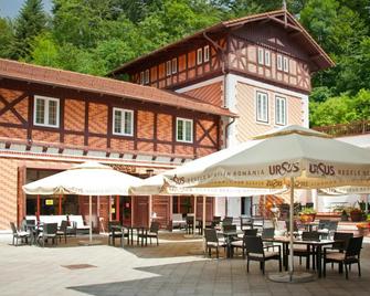 Hotel Bastion - Sinaia - Patio
