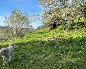 Agriturismo Podere Le Tombe - Palaia