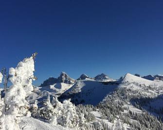 Incredible Large Home Minutes to Skiing, Hiking, Fishing - Sleeps 20 - Alta - Servicio de la propiedad