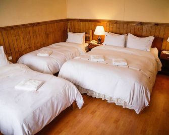 Hostal Hielo Sur - Punta Arenas - Schlafzimmer