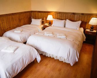 Hostal Hielo Sur - Punta Arenas - Soveværelse