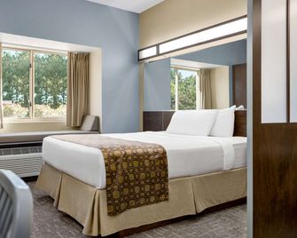 Microtel Inn & Suites by Wyndham Woodstock/Atlanta North - Woodstock - Habitación