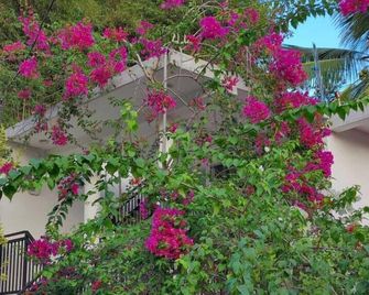 Flower Shade Villa - Mirissa - Outdoor view