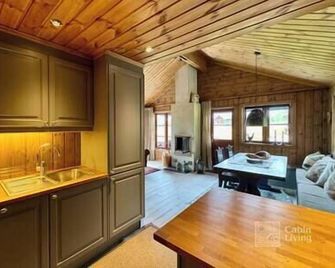 Modern cabin sauna, BBQ & beautiful view Filefjell - Tyinkrysset
