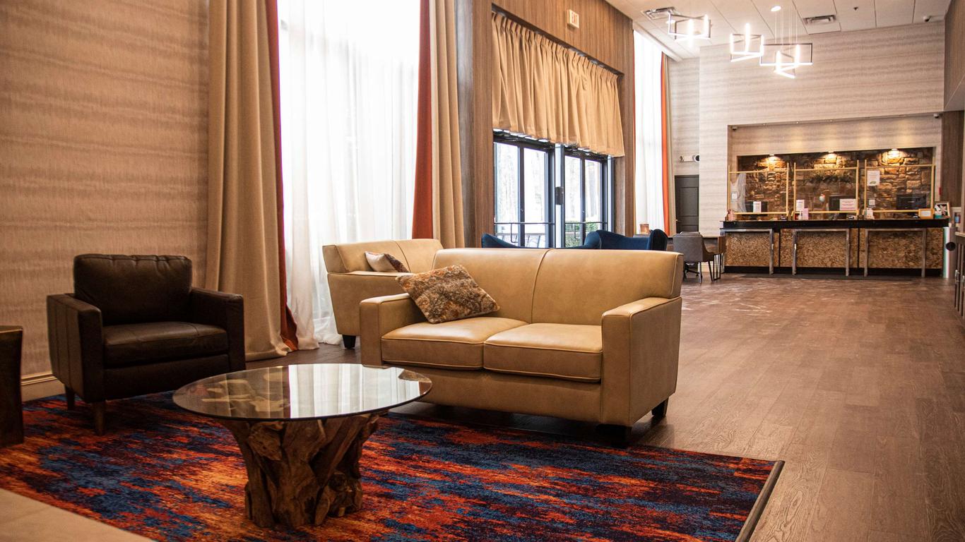 بارادايس ستريم ريزورت