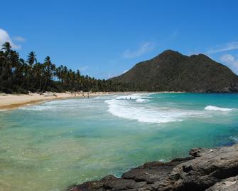 Posada Pittier - Choroni - Playa