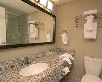 Medicine Hat Inn & Suites - Medicine Hat