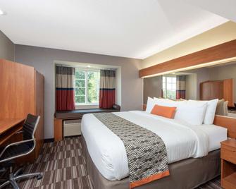 Microtel Inn & Suites by Wyndham Springfield - Springfield - Bedroom