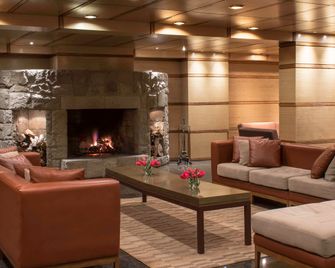 إن إتش باريلوتشي إيديلفايس - سان كارلوس دي باريلوتش - ردهة