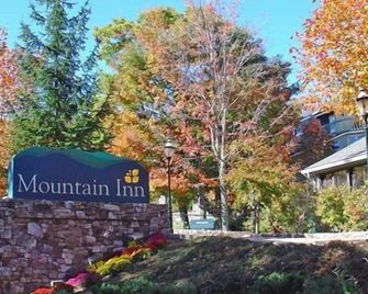 Mountain Inn Lodge 58 with Wintergreen Advantage - Wintergreen - Outdoors view