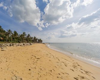 Maple Leaf Hotel - Negombo - Beach