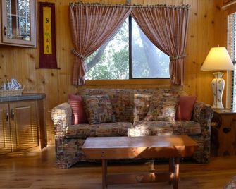 Texas Tiny House with Hill Country Charm - San Antonio - Living room