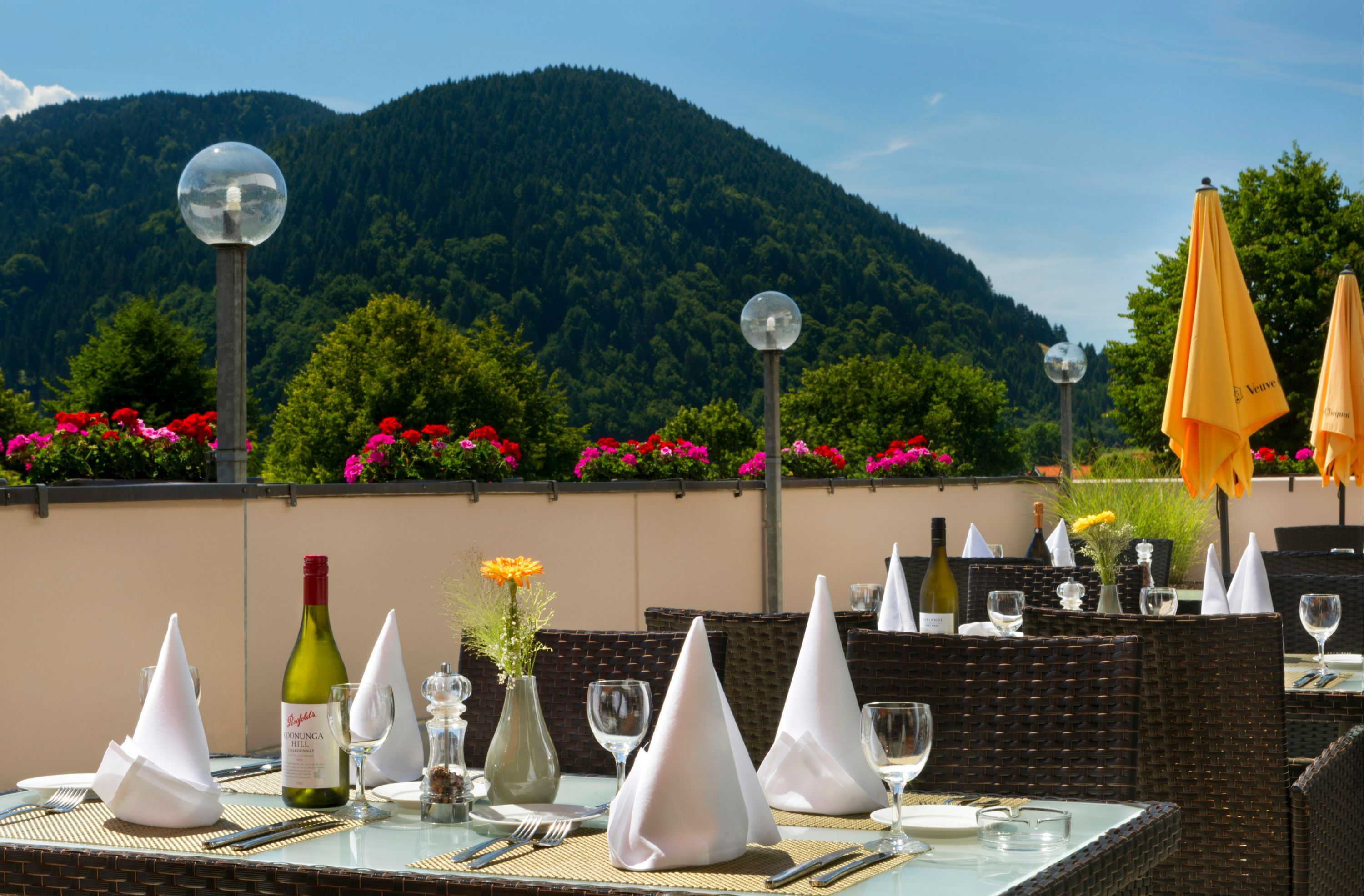 كرمة بافاريا