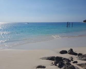 Ocean Front Property - Villa 3 Aruba with Hot Tub - Savaneta - Beach