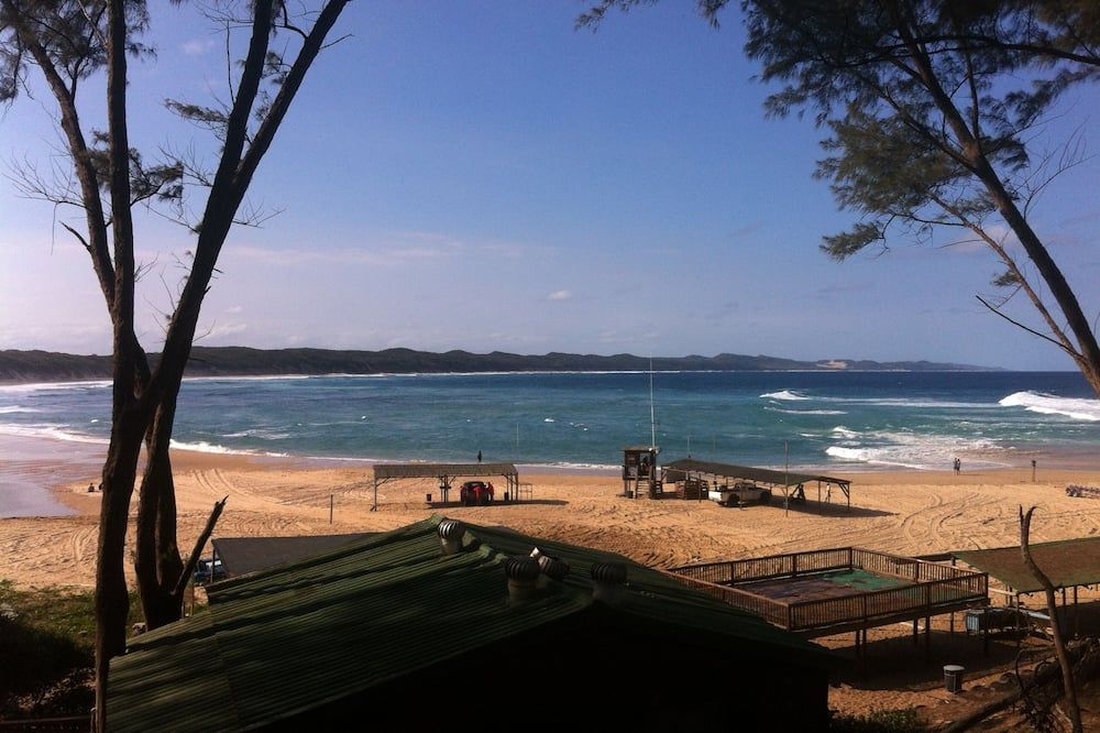 كورال دايفرز