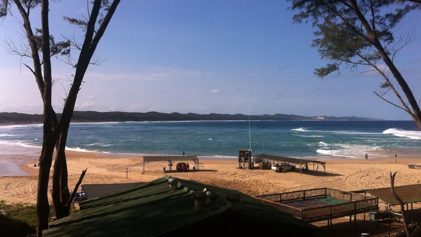 كورال دايفرز