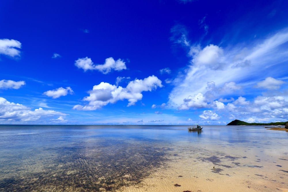 Sky Ocean - Ishigaki Eco-Resort - Newly Renovated - Ishigaki - Beach