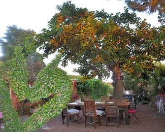 Gites Chambres d'hotes Mazet du Maréchal Ferrant - Saintes-Maries-de-la-Mer - Patio