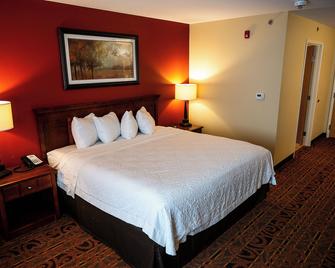 Savanna Inn & Suites - Savanna - Habitación