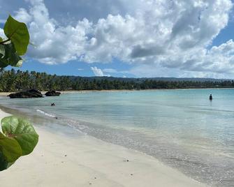 Ballenas - Large private pool - Beach at 200m - Las Terrenas - Beach