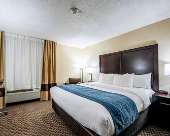 Comfort Inn Matteson - Chicago - Matteson - Bedroom