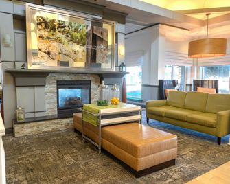 Hilton Garden Inn Pittsburgh-Southpointe - Canonsburg - Salónek