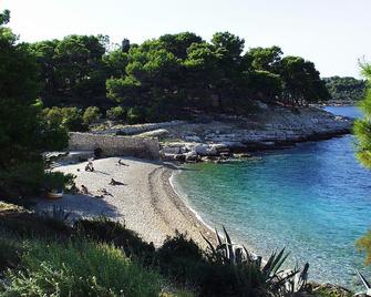 Apartments by the sea Vis - 2470 - Vis - Beach